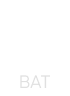bat